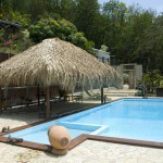 Espace piscine terrasse1